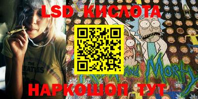 крисы Кандалакша