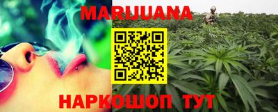 крисы Кандалакша