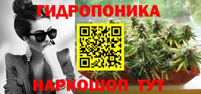 крисы Кандалакша