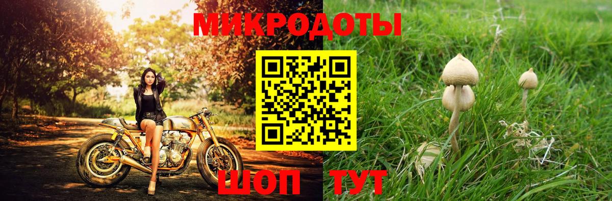 Кудрово  Галлюциногенные грибы прущие грибы  Вход с VPN 